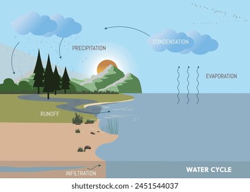 Un diagrama del ciclo del agua muestra el proceso por el cual el agua se evapora del océano, se condensa en la atmósfera y vuelve a caer a la tierra como precipitación.