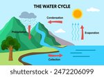 Water cycle diagram with simple rain circulation explanation concept. Educational climate scheme with precipitation, evaporation, condensation and collection phases vector illustration.