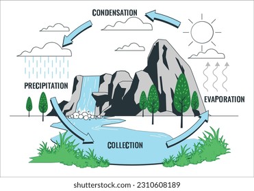 Diagrama del ciclo del agua con el concepto de esquema de explicación simple de la circulación de lluvia. Esquema de clima de biología educativa con precipitación, evaporación, condensación y recolección de la ilustración vectorial