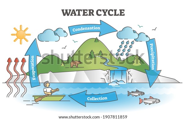 Water cycle diagram with simple rain\
circulation explanation outline concept. Educational biology\
climate scheme with precipitation, evaporation, condensation and\
collection phases vector\
illustration