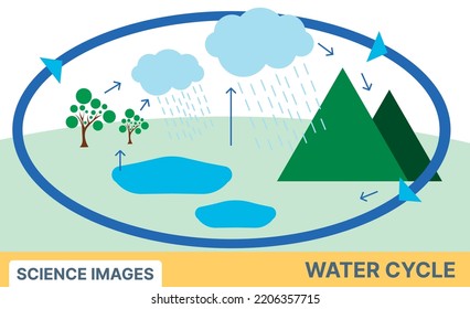 Water cycle diagram with simple vector