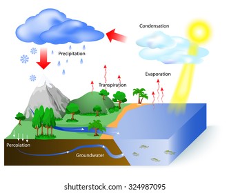 Flow Chart On Water Cycle