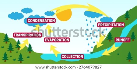 Water Cycle Educational Illustration of Preciptation, Runoff, Collection, Evaporation, Condensation and Transpiration 