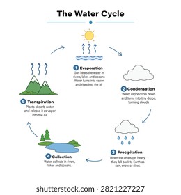 Water Cycle Educational Infographic Hydrology Process Science Learning Poster for Classroom Study