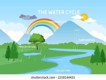 Water Cycle of Evaporation, Condensation, Precipitation to Collection in Earth natural environment on Flat Cartoon Hand Drawn Template Illustratio
