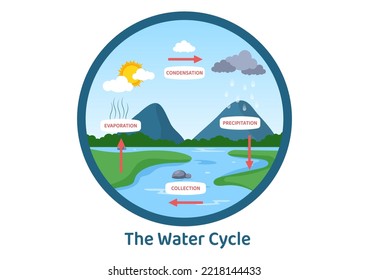 Water Cycle of Evaporation, Condensation, Precipitation to Collection in Earth natural environment on Flat Cartoon Hand Drawn Template Illustratio