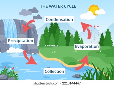 Water Cycle of Evaporation, Condensation, Precipitation to Collection in Earth natural environment on Flat Cartoon Hand Drawn Template Illustratio