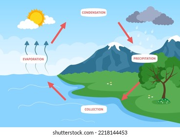 Water Cycle of Evaporation, Condensation, Precipitation to Collection in Earth natural environment on Flat Cartoon Hand Drawn Template Illustratio