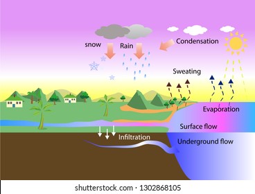 water cycle. evaporation and rain. The sun, which drives the water cycle, heats water in oceans and seas. geography