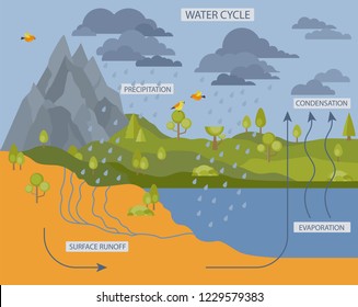 Water cycle. Geography, ecology infographic design. Vector illustration