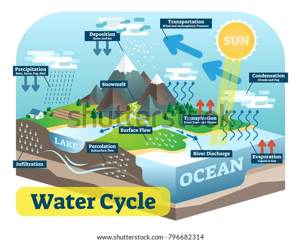 Water cycle graphic scheme,\
vector isometric illustration with water bodies and geological\
relief.