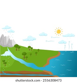 Water Cycle in Hydrological Processes