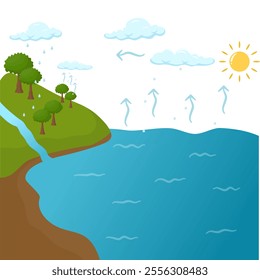 Water Cycle in Hydrological Processes