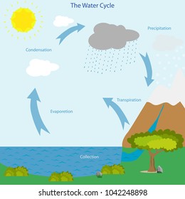 Water Cycle Icon Nature Chickling Weather Stock Vector (Royalty Free ...