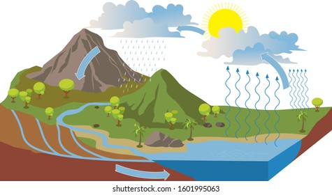 the water cycle illustration infographic - vector - Shutterstock ID 1601995063