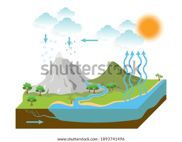 the\
water cycle illustration infographic. vector\
esp10