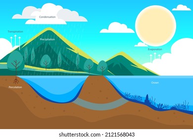 Water cycle infographic. Ecosystem concept. Water recycle, evaporation, condensation ecology diagram. Groundwater, water cycle. Hydrologic landscape. Geography school scheme. Vector illustration.