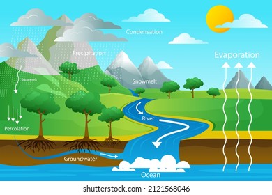 Water cycle infographic. Ecosystem concept. Water recycle, evaporation, condensation ecology diagram. Groundwater, water cycle. Hydrologic landscape. Geography school scheme. Vector illustration.