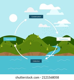 Water cycle infographic. Ecosystem concept. Water recycle, evaporation, condensation ecology diagram. Groundwater, water cycle. Hydrologic landscape. Geography school scheme. Vector illustration.