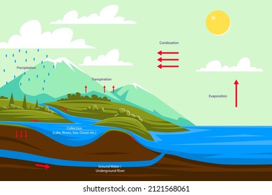 Water cycle infographic. Ecosystem concept. Water recycle, evaporation, condensation ecology diagram. Groundwater, water cycle. Hydrologic landscape. Geography school scheme. Vector illustration.