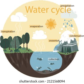 Water cycle infographic. Ecosystem concept. Water recycle, evaporation, condensation ecology diagram. Groundwater, water cycle. Hydrologic landscape. Geography school scheme. Vector illustration.