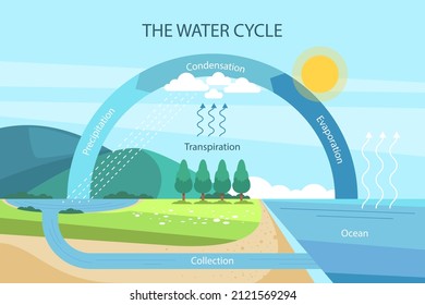 Water cycle infographic. Ecosystem concept. Water recycle, evaporation, condensation ecology diagram. Groundwater, water cycle. Hydrologic landscape. Geography school scheme. Vector illustration. - Shutterstock ID 2121569294