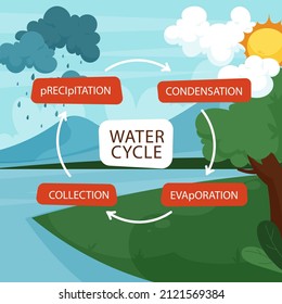 Infografía del ciclo del agua. Concepto de ecosistema. Reciclaje de agua, evaporación, diagrama de ecología de condensación. Agua subterránea, ciclo de agua. Paisaje hidrológico. Esquema de la escuela de geografía. Ilustración vectorial.