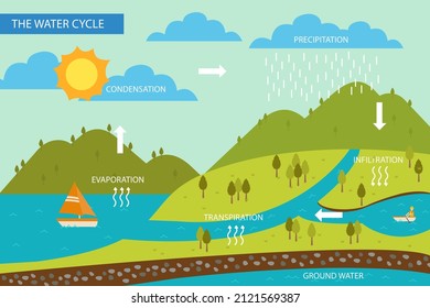 Water cycle infographic. Ecosystem concept. Water recycle, evaporation, condensation ecology diagram. Groundwater, water cycle. Hydrologic landscape. Geography school scheme. Vector illustration.