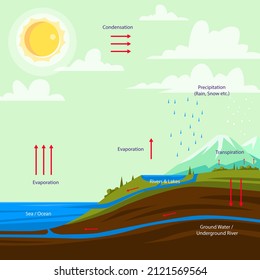 Water cycle infographic. Ecosystem concept. Water recycle, evaporation, condensation ecology diagram. Groundwater, water cycle. Hydrologic landscape. Geography school scheme. Vector illustration.