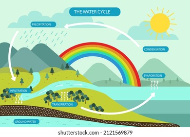 Water cycle infographic. Ecosystem concept. Water recycle, evaporation, condensation ecology diagram. Groundwater, water cycle. Hydrologic landscape. Geography school scheme. Vector illustration.