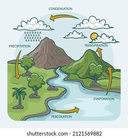 Water Cycle Infographic Ecosystem Concept Water Stock Vector (Royalty ...