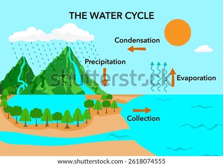 Water cycle infographic. Ecosystem concept. Water recycle, evaporation, condensation ecology diagram. Groundwater, water cycle. Hydrologic landscape. Geography school scheme. Vector illustration.