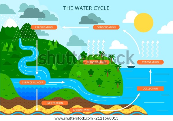 Water cycle infographic. Ecosystem concept.\
Water recycle, evaporation, condensation ecology diagram.\
Groundwater, water cycle. Hydrologic landscape. Geography school\
scheme. Vector\
illustration.