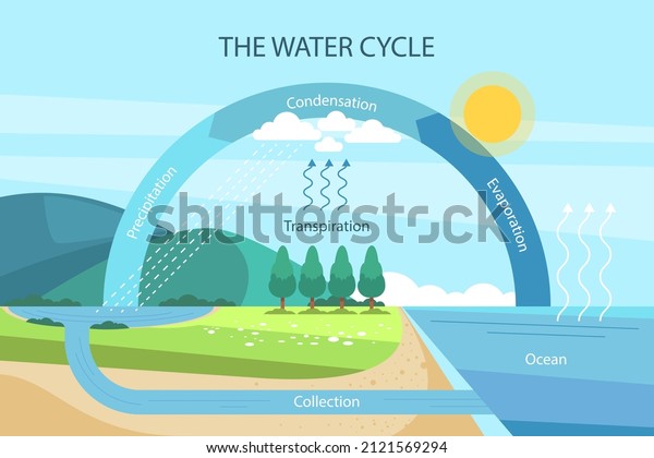 Water cycle infographic. Ecosystem concept.\
Water recycle, evaporation, condensation ecology diagram.\
Groundwater, water cycle. Hydrologic landscape. Geography school\
scheme. Vector\
illustration.