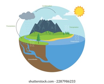 Water cycle infographic. Hydrologic Geography school scheme