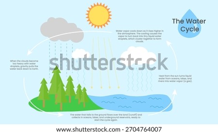 Water cycle infographic. Science teaching aids.