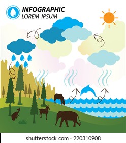 water cycle infographics
