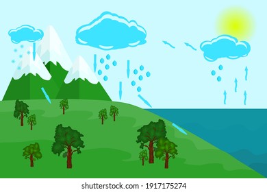 Water Cycle Nature Earth Hydrologic Process Stock Vector (Royalty Free ...