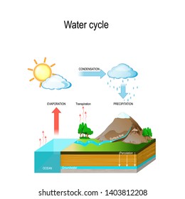 Water Cycle Nature Environment Sun Which Stock Vector (Royalty Free ...