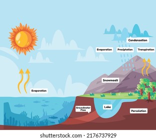 Water cycle process water evaporates to atmosphere condenses into rain in clouds and falls precipitation rain