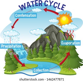 Wasserkreislauf-Prozess auf der Erde - Wissenschaftliche Illustration – Stockvektorgrafik