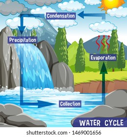 Water cycle process on Earth - Scientific illustration