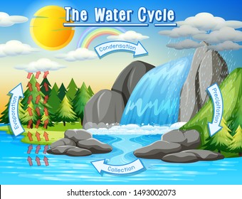Water Cycle Process On Earth - Scientific Illustration