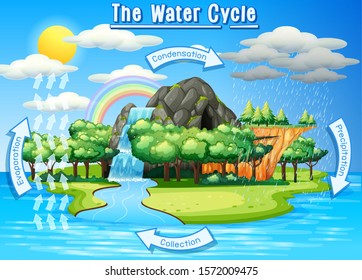 Wasserkreislauf-Prozess auf der Erde - Wissenschaftliche Illustration