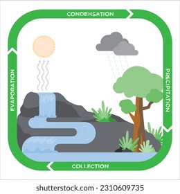 Water cycle process on Earth. 
The hydrological water cycle on Earth - Scientific illustration