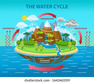 The water cycle. Vector cartoon illustration.