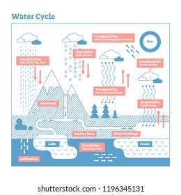 Water Cycle vector illustration diagram. Evaporation to condensation, transportation, precipitation, infiltration and percolation. Ecosystem scheme with ocean, clouds, rain, snow, lakes and rivers.