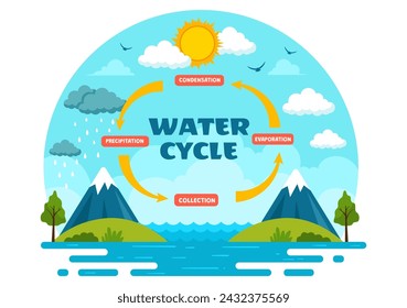 Ilustración del vector del ciclo del agua con la evaporación, condensación, precipitación a la colección en el ambiente natural de la tierra en fondo plano de la historieta