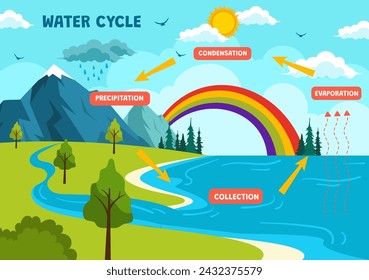 Ilustración del vector del ciclo del agua con la evaporación, condensación, precipitación a la colección en el ambiente natural de la tierra en fondo plano de la historieta