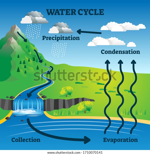 Water cycle vector illustration. Labeled\
earth hydrologic process explanation diagram. Environmental\
circulation scheme with rain precipitation, cloud condensation,\
evaporation and runoff\
collection.